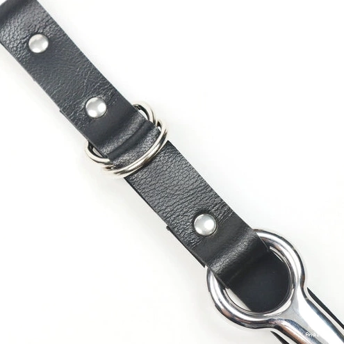 with Hook Anal and Leash 5853 EverydayUse Kinky Collar 1002